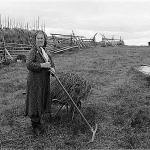 Elli Paadar collects horsetail.jpg